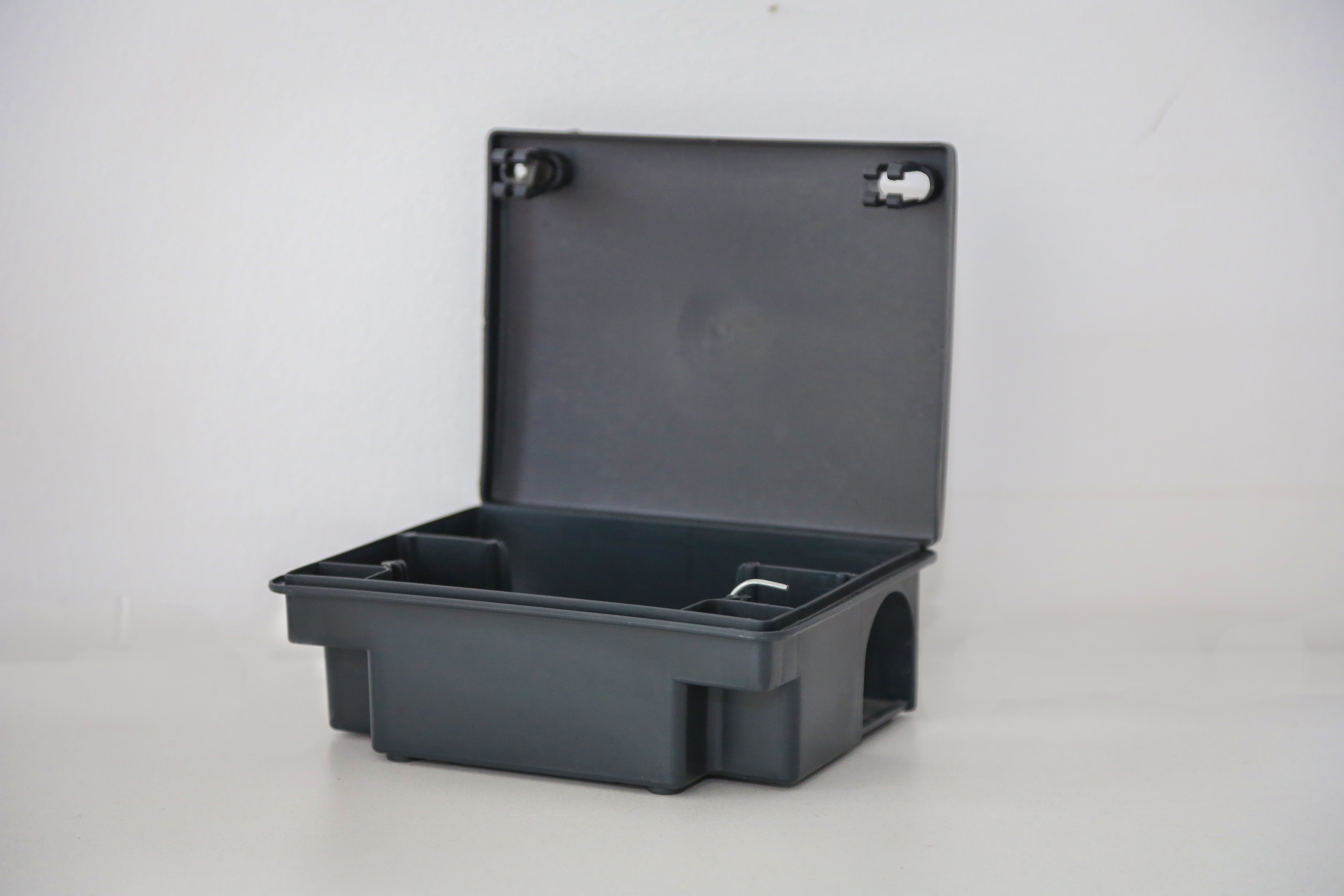 Stacion për brejtës – pamja e parë
